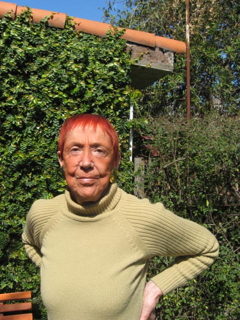 gorodischer2